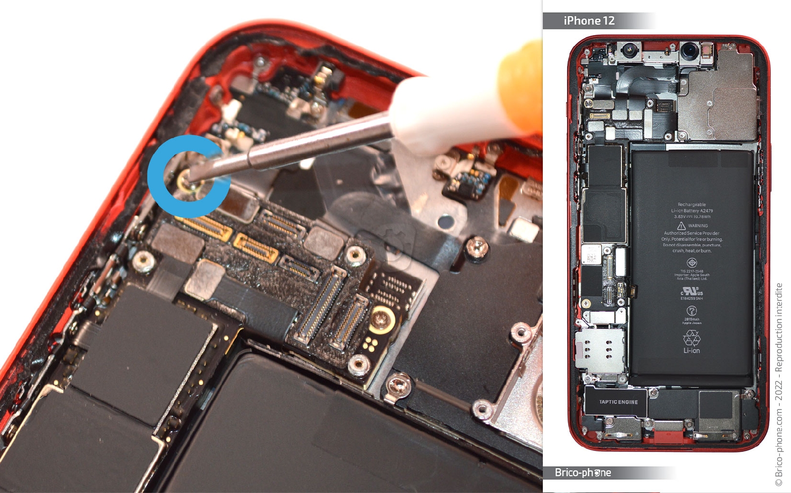 Comment remplacer la coque arrière sur iPhone 12 photo 1