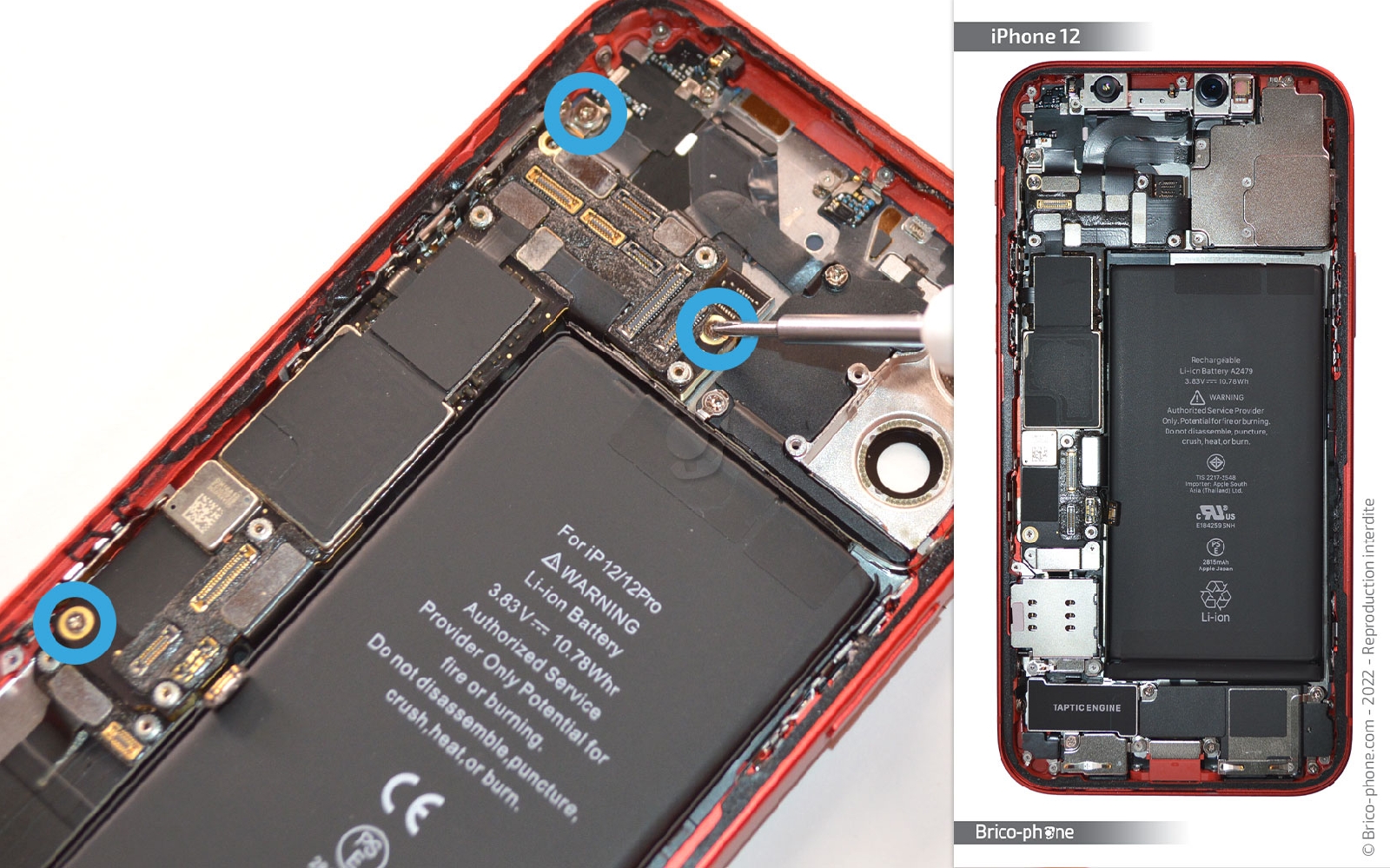 Comment remplacer la coque arrière sur iPhone 12 photo 2