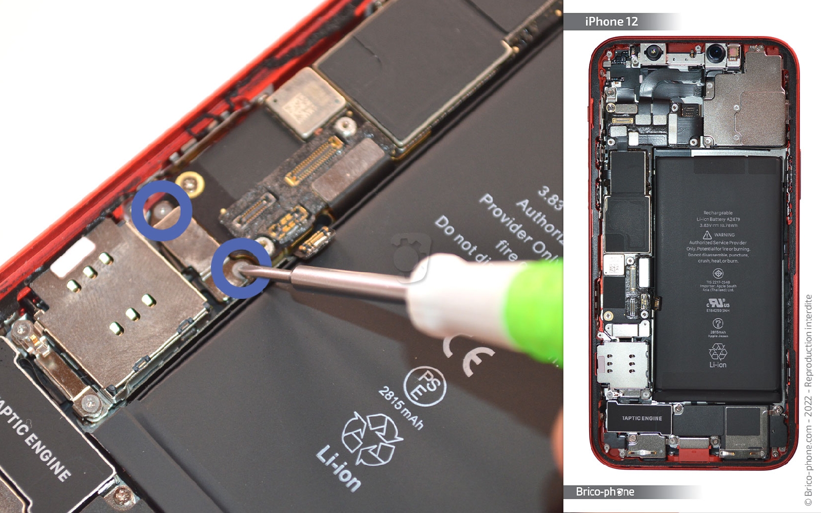 Comment remplacer la coque arrière sur iPhone 12 photo 1