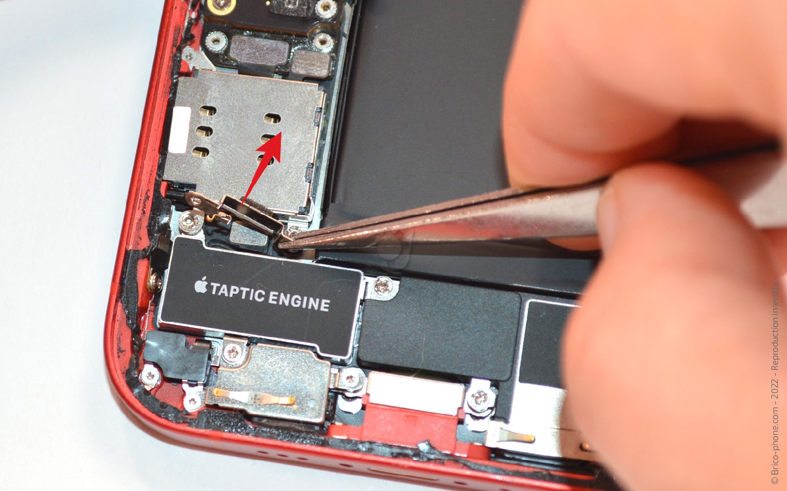 Comment remplacer la coque arrière sur iPhone 12 photo 2