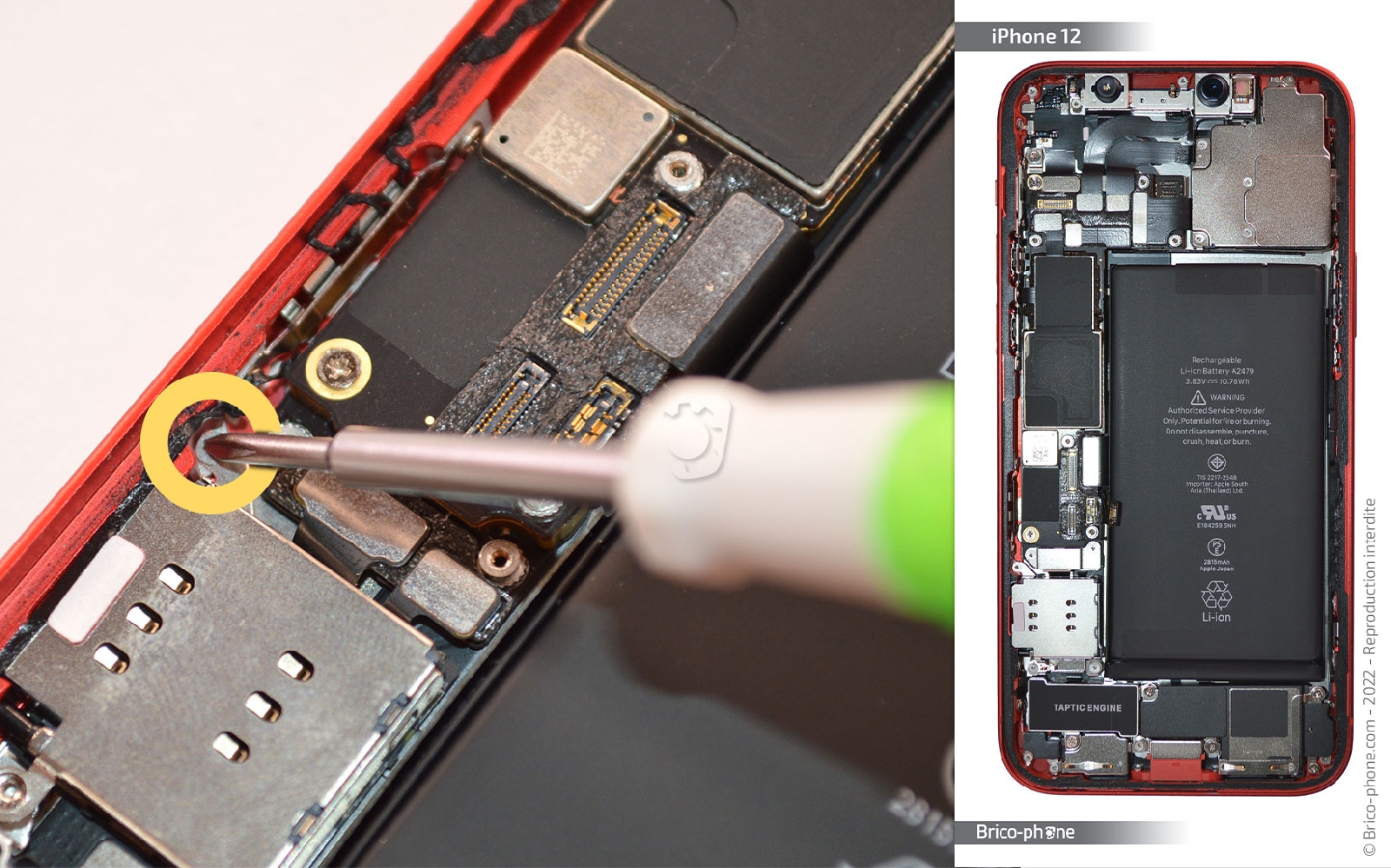 Comment remplacer la coque arrière sur iPhone 12 photo 4