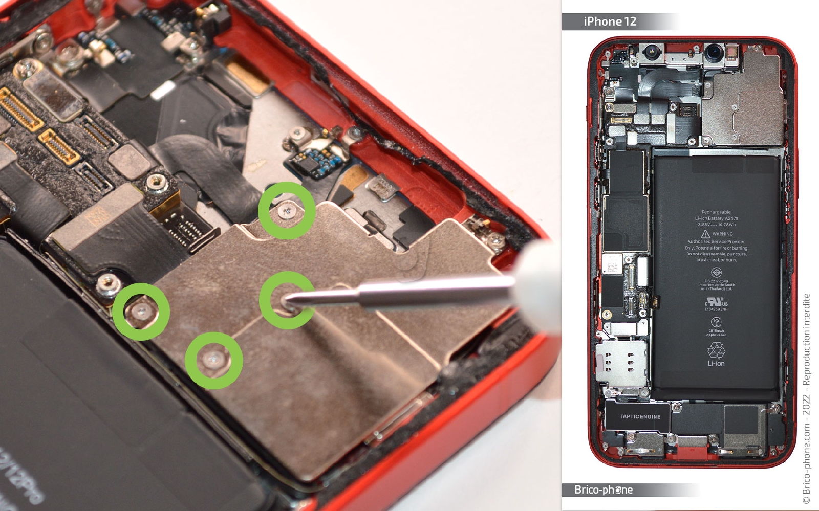 Comment remplacer la coque arrière sur iPhone 12 photo 1