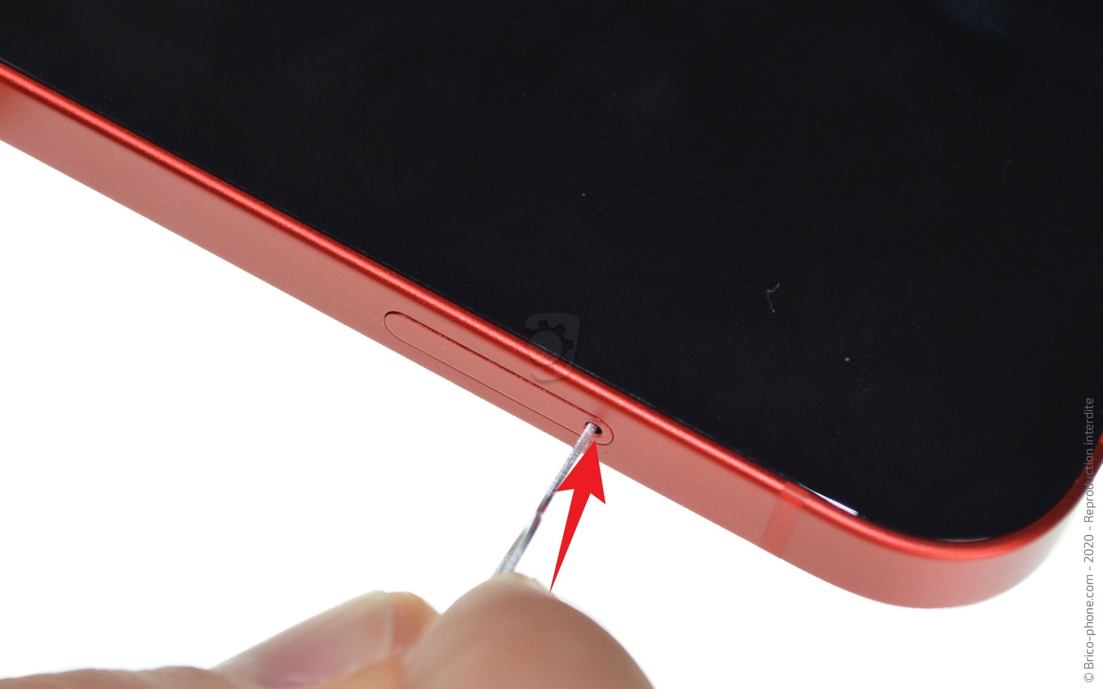 Comment remplacer la coque arrière sur iPhone 12 photo 1