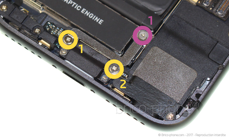 Changement du vibreur Taptic Engine sur iPhone 8 photo 1