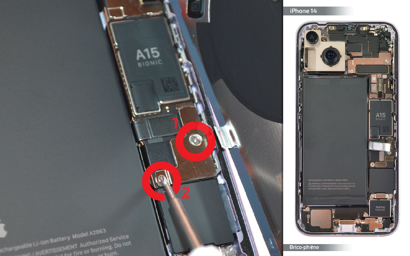 Comment changer le Taptic Engine (vibreur) sur iPhone 14 photo 1