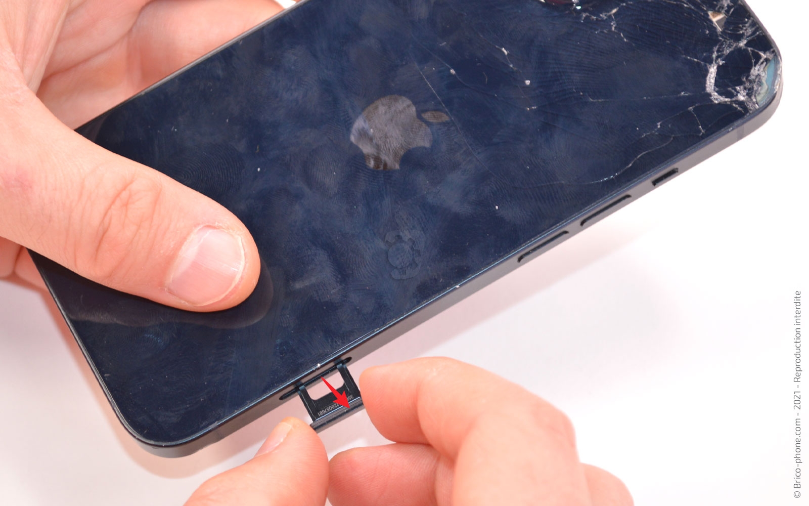 Comment remplacer le châssis complet sur iPhone 13 photo 3