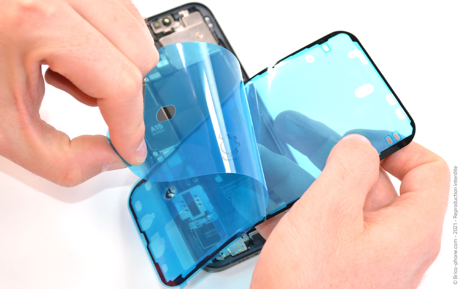 Comment remplacer le châssis complet sur iPhone 13 photo 1