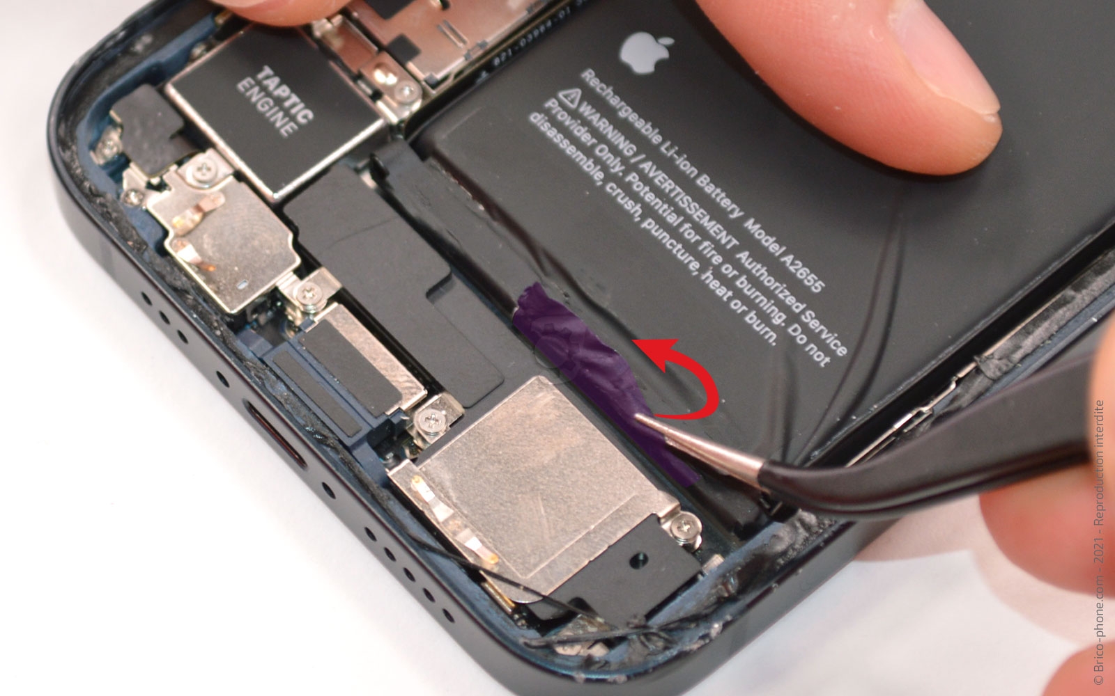 Comment remplacer le châssis complet sur iPhone 13 photo 3