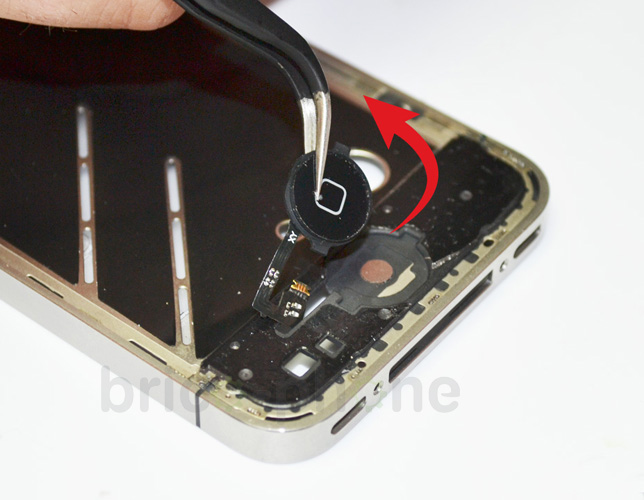 Changement de nappe bouton Home sur iPhone 4 photo 1