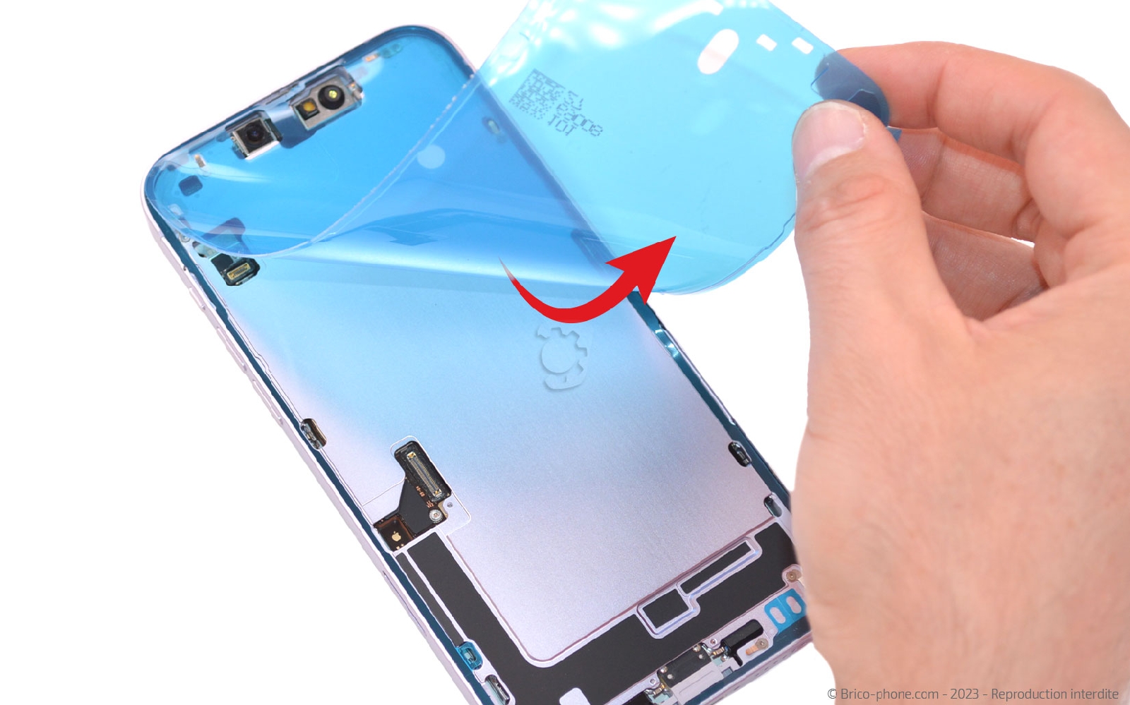 Comment changer l'écran  sur iPhone 14 Plus photo 4