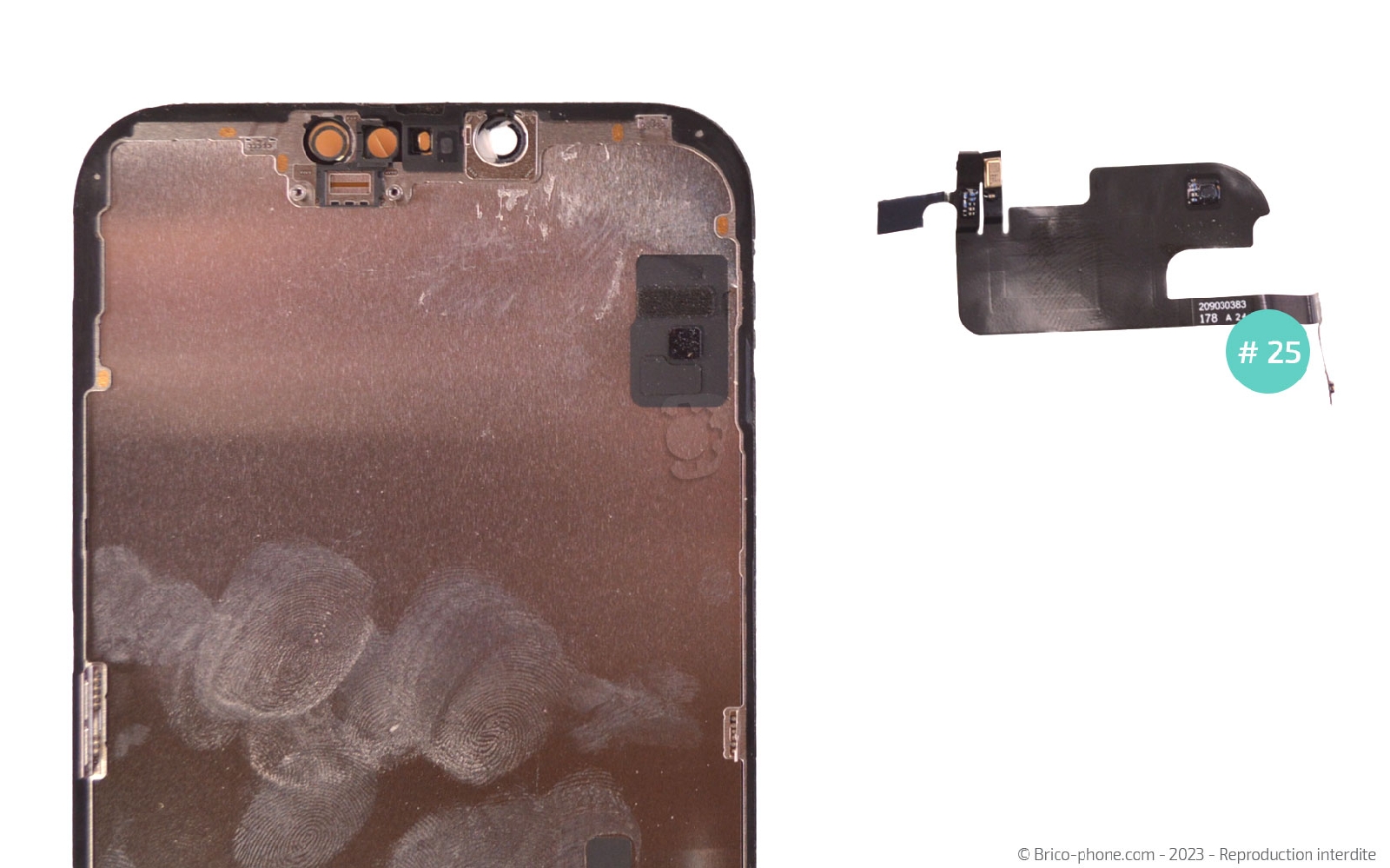 Comment changer l'écran  sur iPhone 14 Plus photo 4