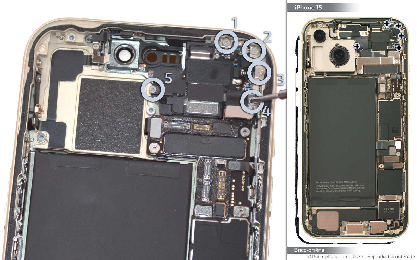 Guide de réparation sur iPhone 15 photo 2