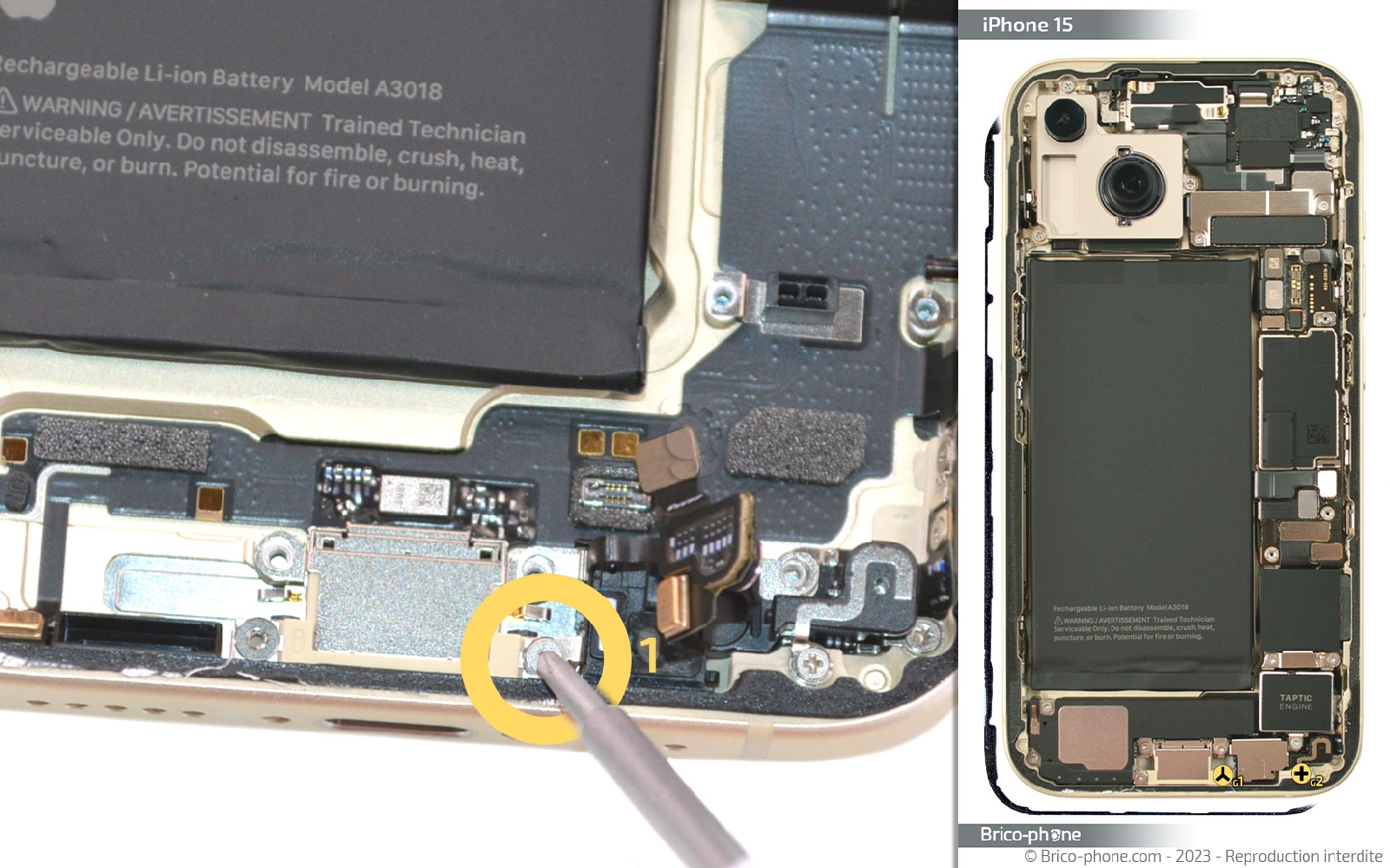 Guide de réparation sur iPhone 15 photo 1