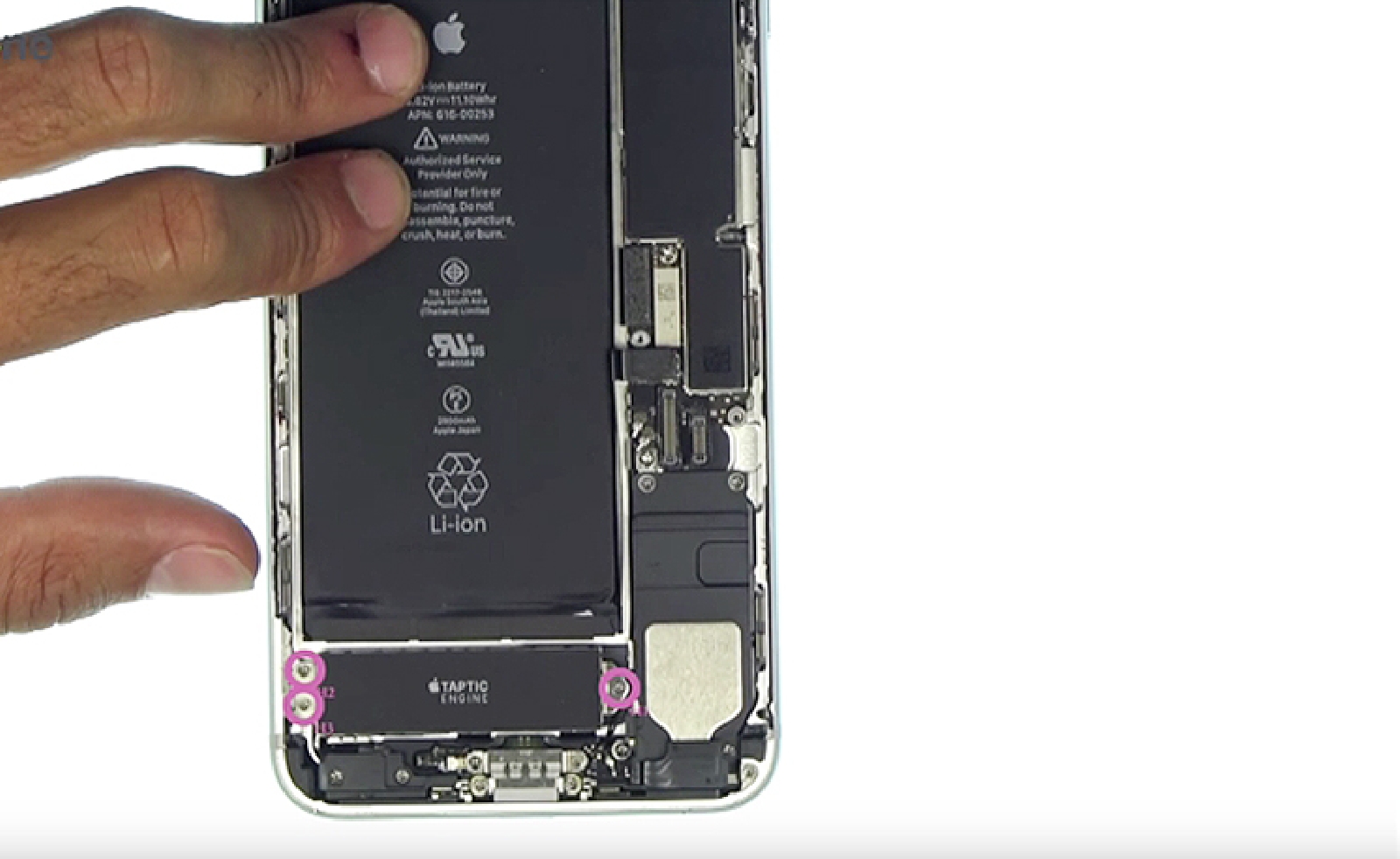 Changement de batterie sur iPhone 7 Plus photo 1