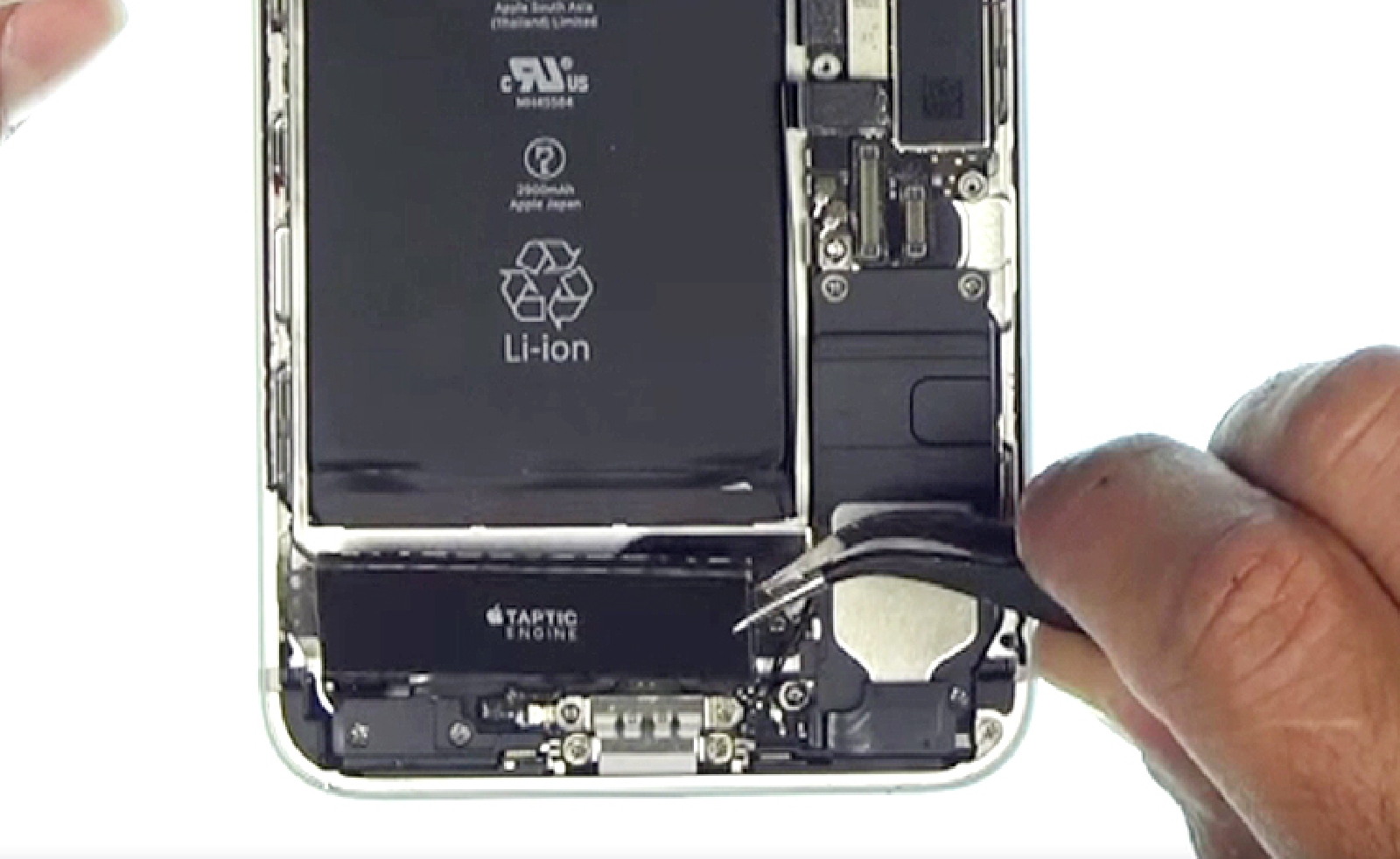 Changement de batterie sur iPhone 7 Plus photo 3