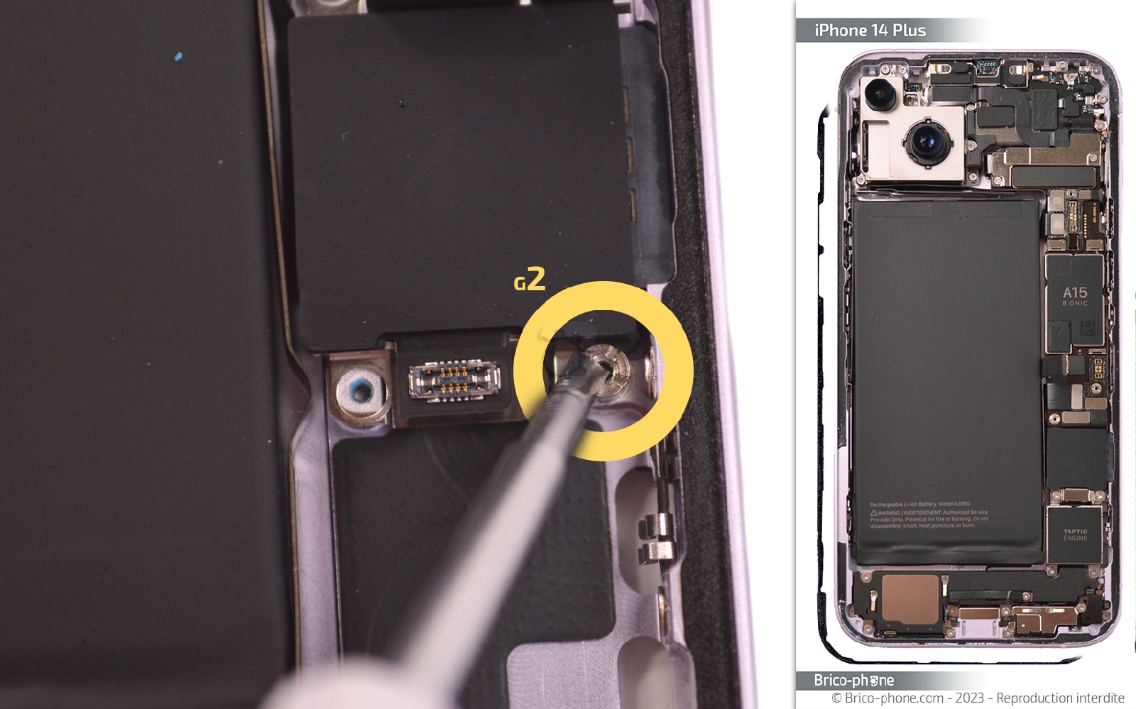 Comment chnager le connecteur de charge  sur iPhone 14 Plus photo 1