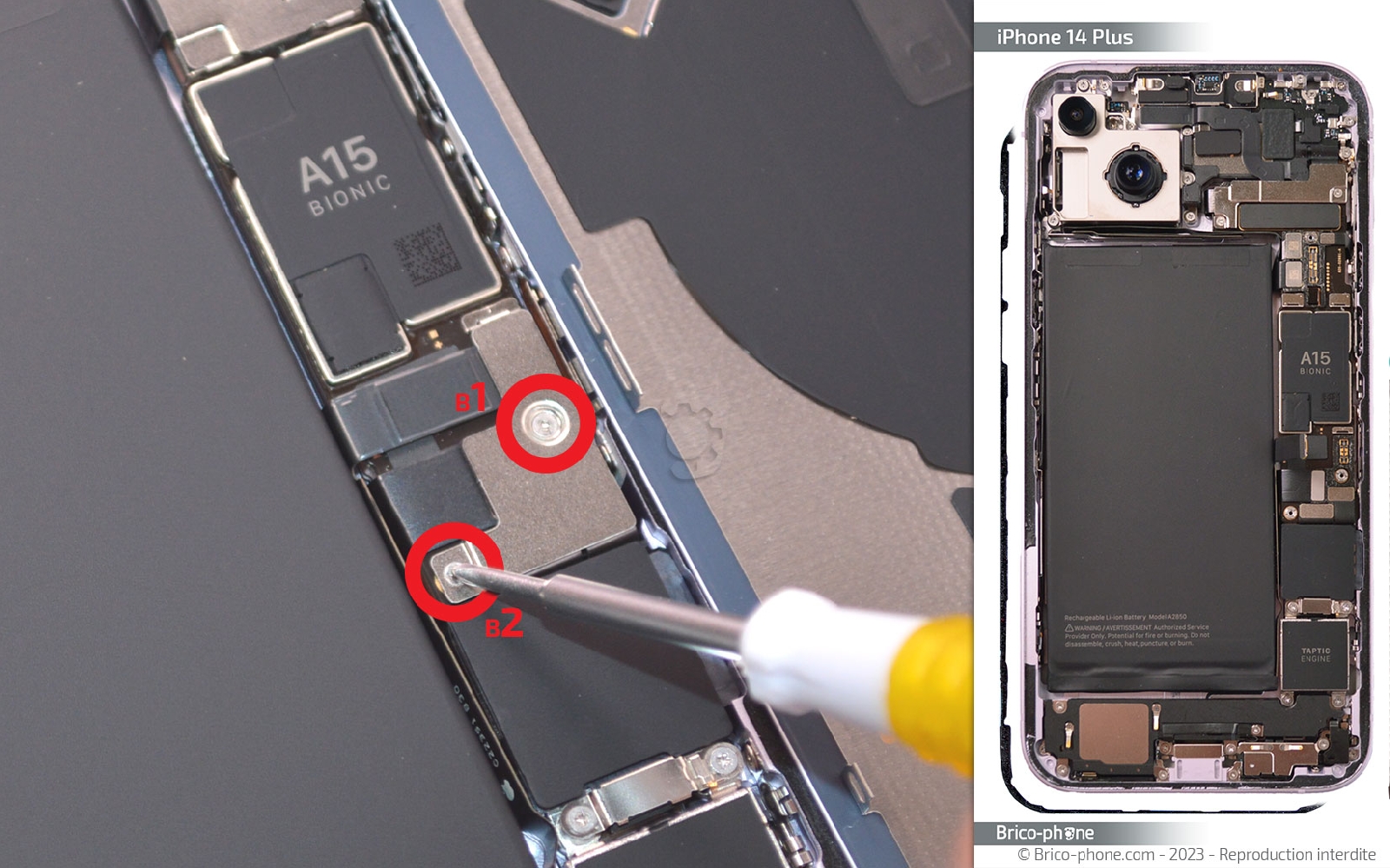 Comment changer le haut-parleur interne sur iPhone 14 Plus photo 1