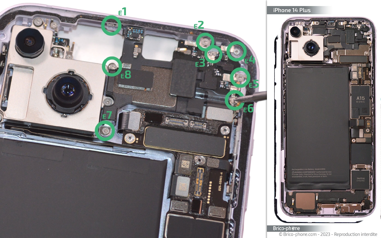 Comment changer le haut-parleur interne sur iPhone 14 Plus photo 1