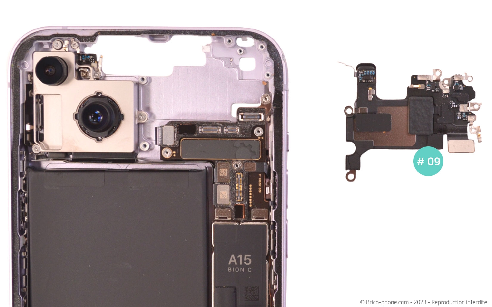 Comment changer le haut-parleur interne sur iPhone 14 Plus photo 4