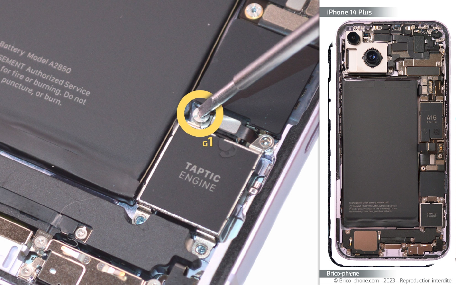 Comment changer le haut-parleur externe sur iPhone 14 Plus photo 1