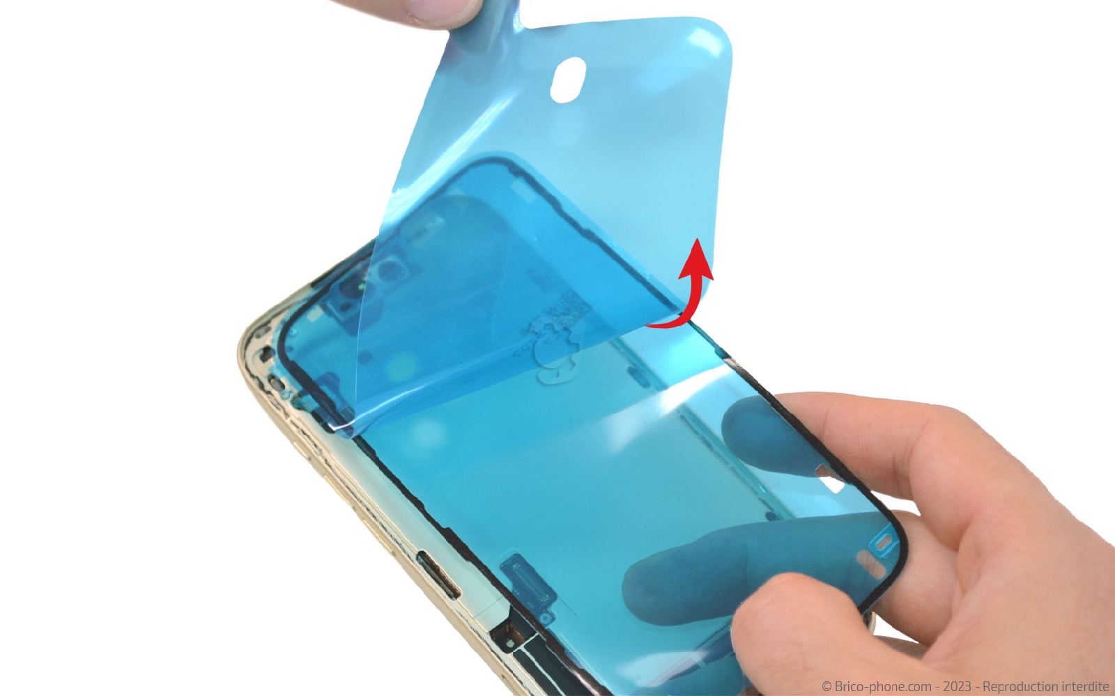 Comment changer le haut-parleur interne sur iPhone 15 photo 1