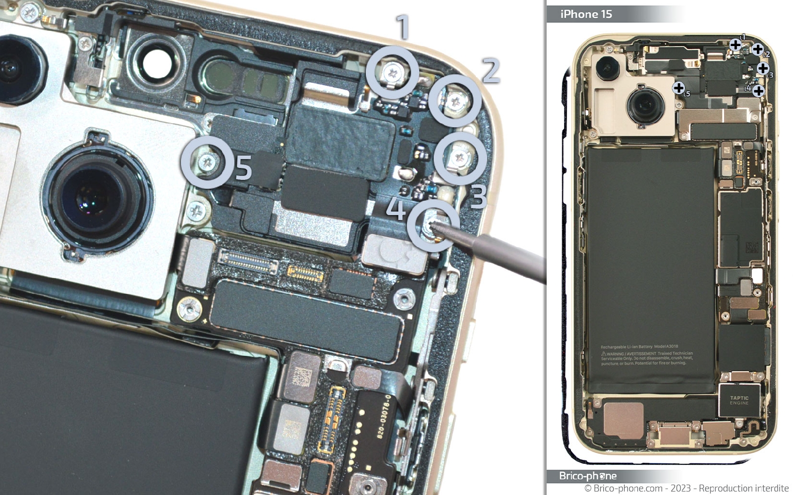 Comment changer le haut-parleur interne sur iPhone 15 photo 2