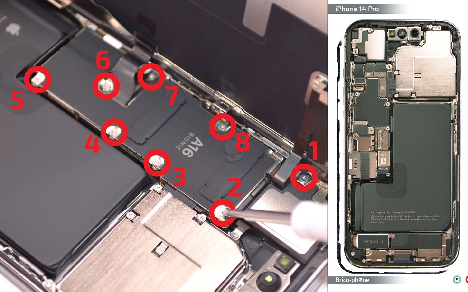 Comment changer l'écouteur de l'oreille sur iPhone 14 Pro Max photo 1