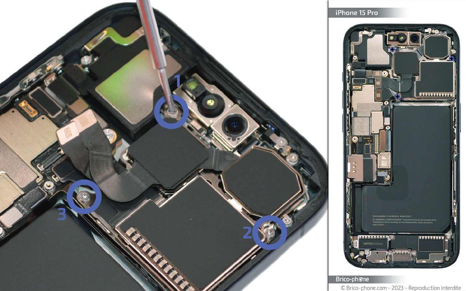 Comment changer le haut-parleur interne sur iPhone 15 Pro photo 1