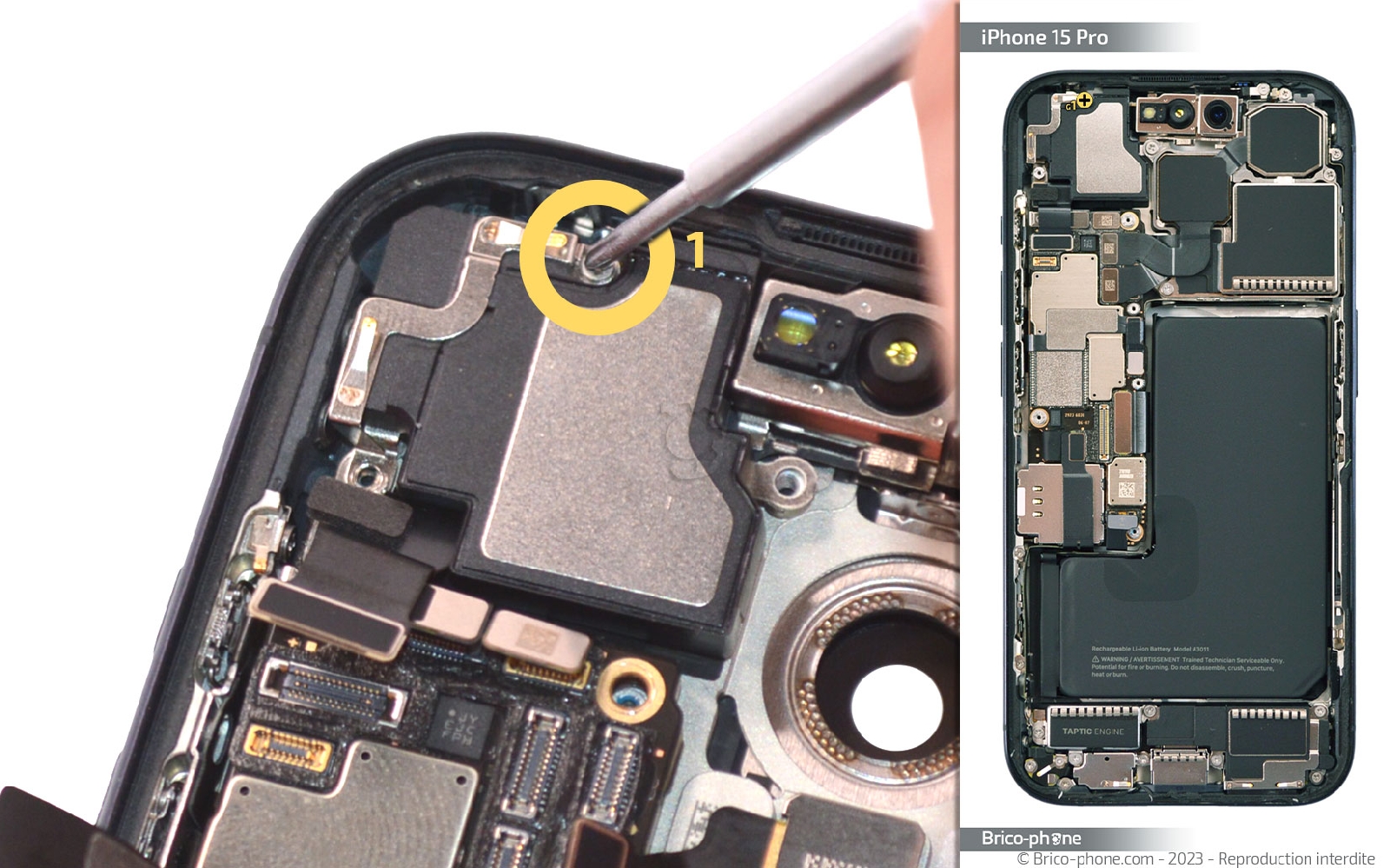 Comment changer le haut-parleur interne sur iPhone 15 Pro photo 1
