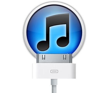 Changement de batterie sur iPhone 3GS photo 1