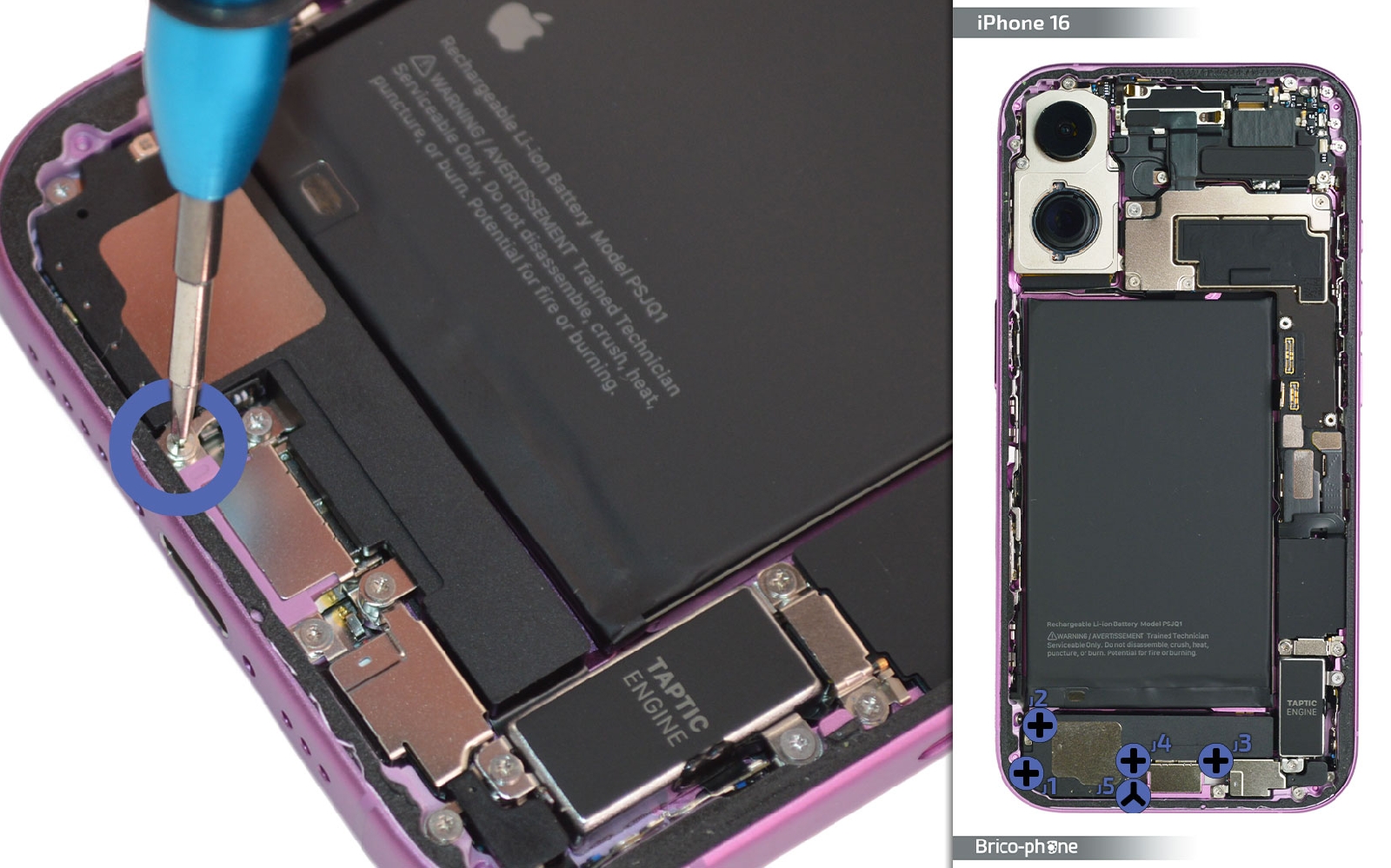 Comment remplacer le haut-parleur externe sur iPhone 16 photo 1