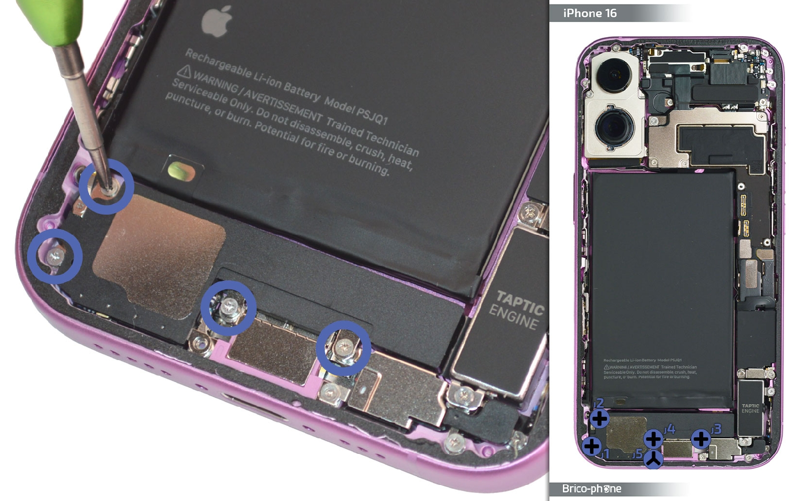 Comment remplacer le haut-parleur externe sur iPhone 16 photo 2