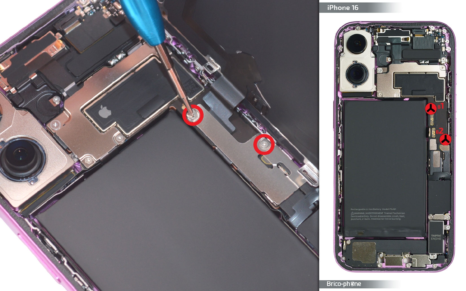 Comment remplacer le haut-parleur externe sur iPhone 16 photo 1