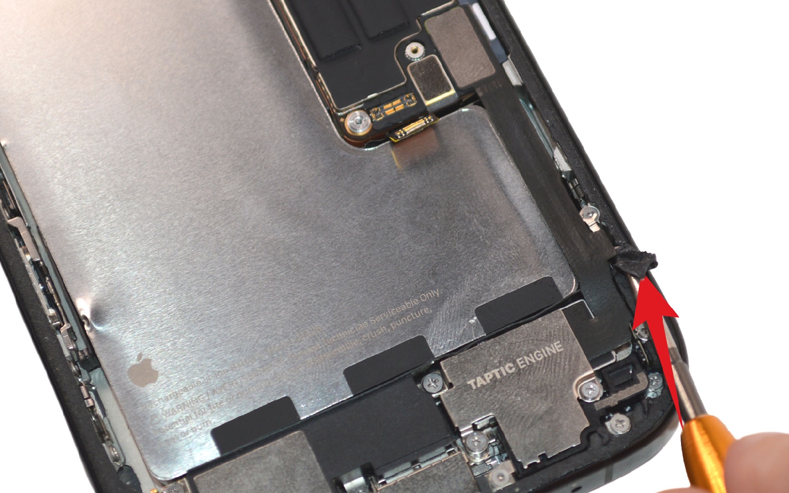 Comment changer le haut-parleur interne sur iPhone 16 Pro photo 1