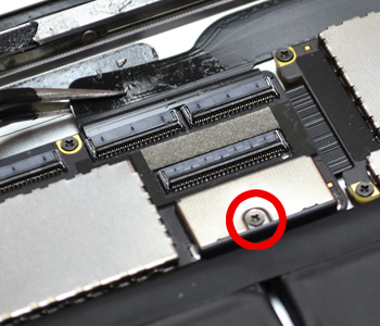 Changement de batterie sur iPad 3 photo 1