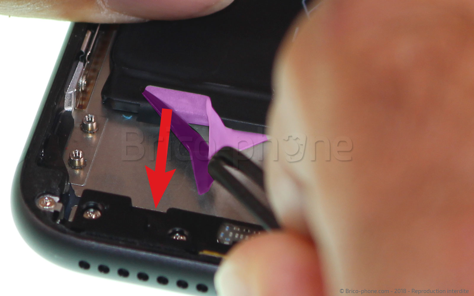 Changement de batterie sur iPhone 8 Plus photo 1