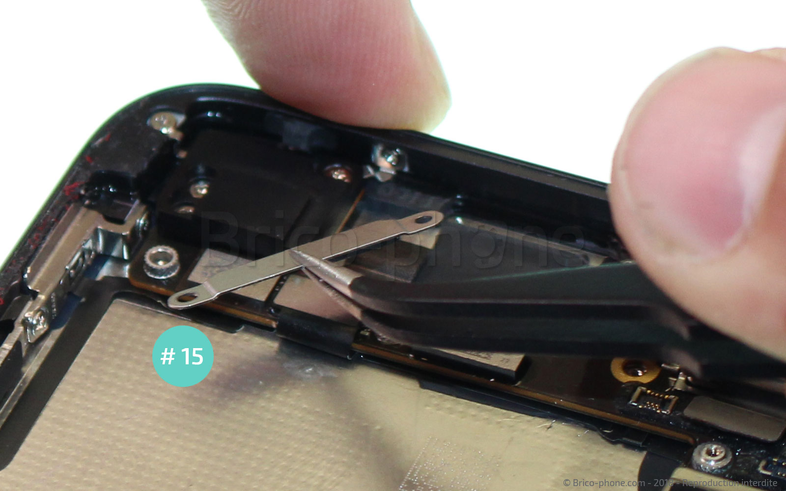 Changement de nappe induction sur iPhone 8 Plus photo 2