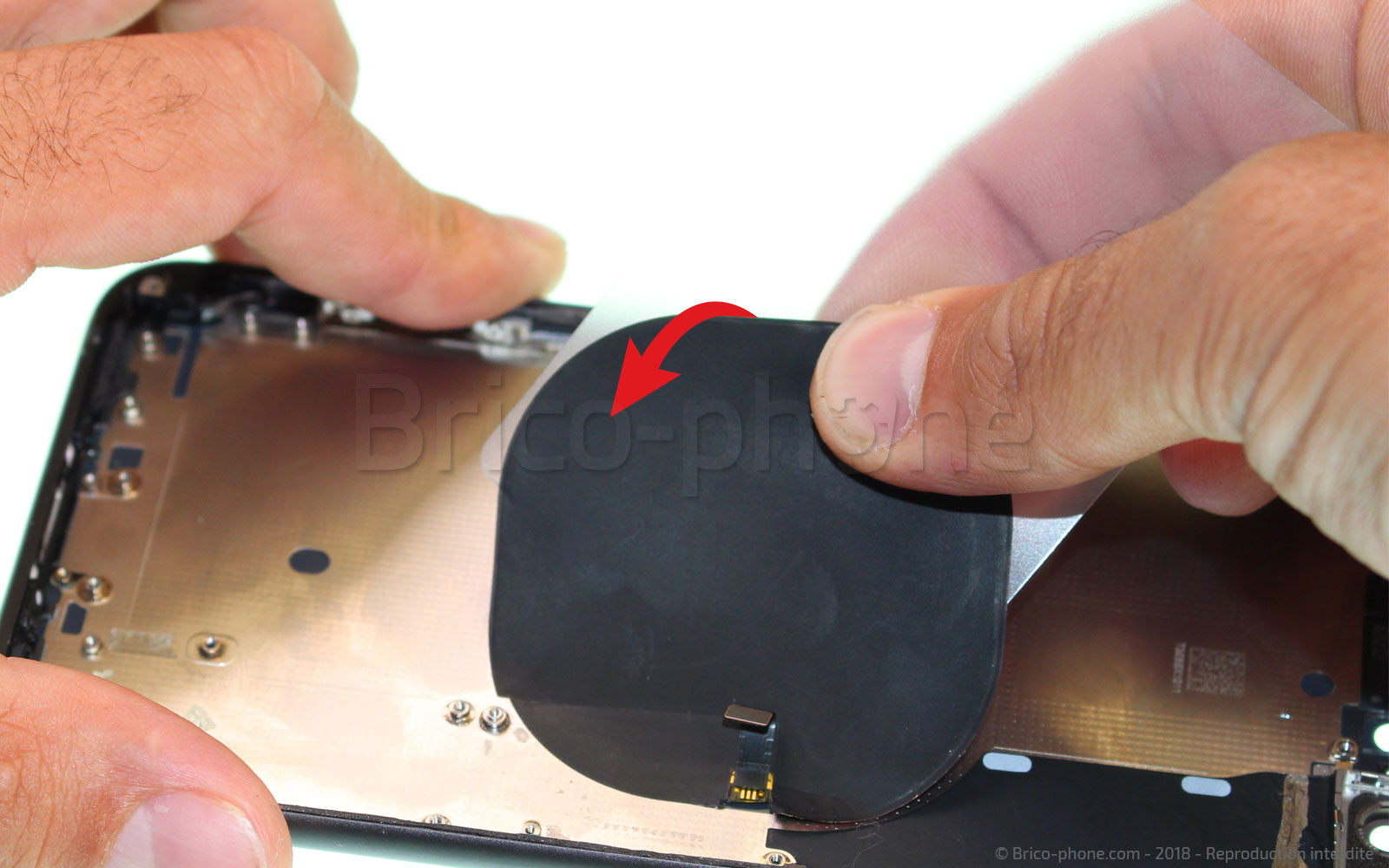 Changement de nappe induction sur iPhone 8 Plus photo 1