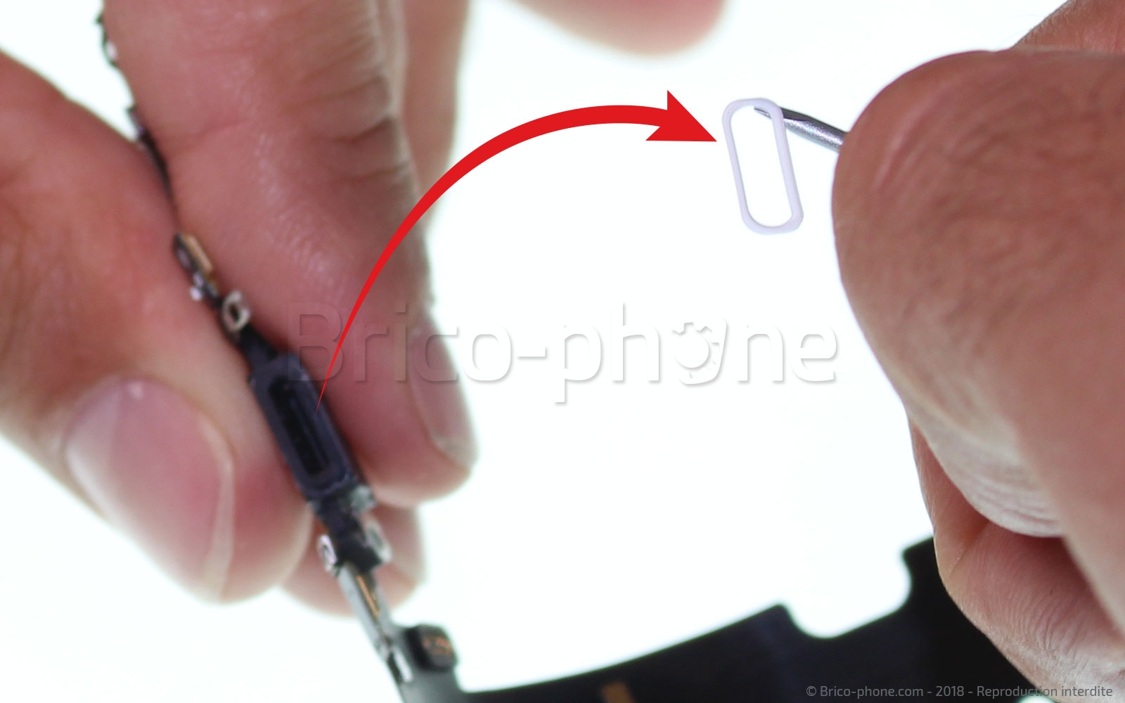 Changement du connecteur de charge sur iPhone 8 Plus photo 3