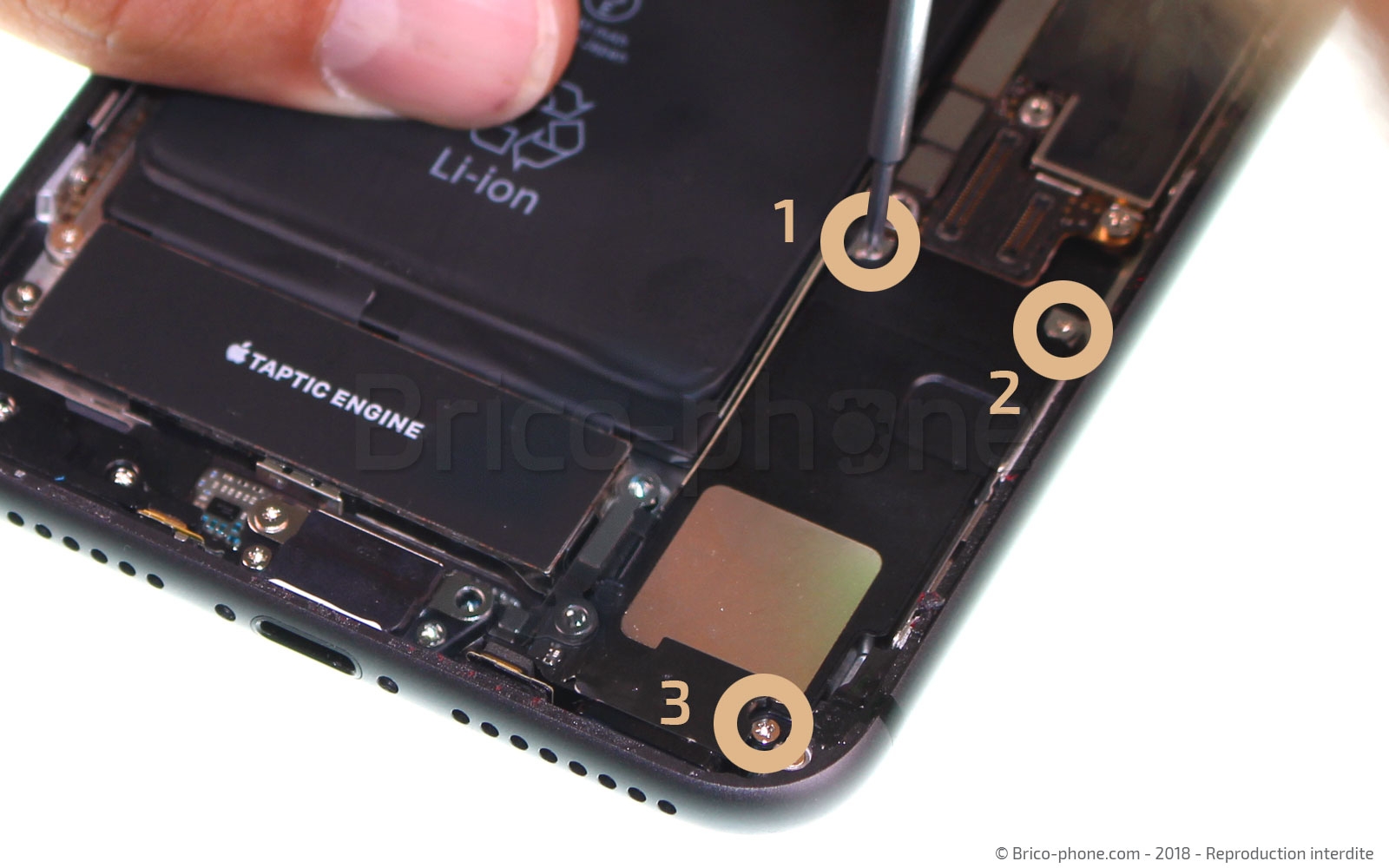 Changement du connecteur de charge sur iPhone 8 Plus photo 1