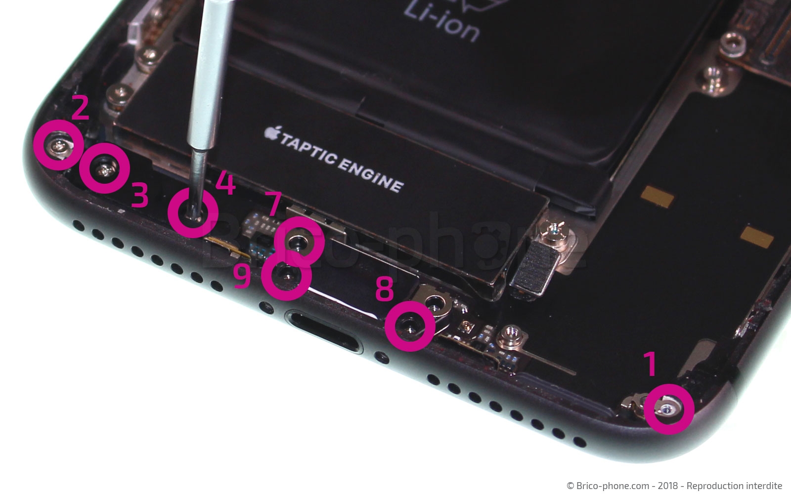 Changement du connecteur de charge sur iPhone 8 Plus photo 1