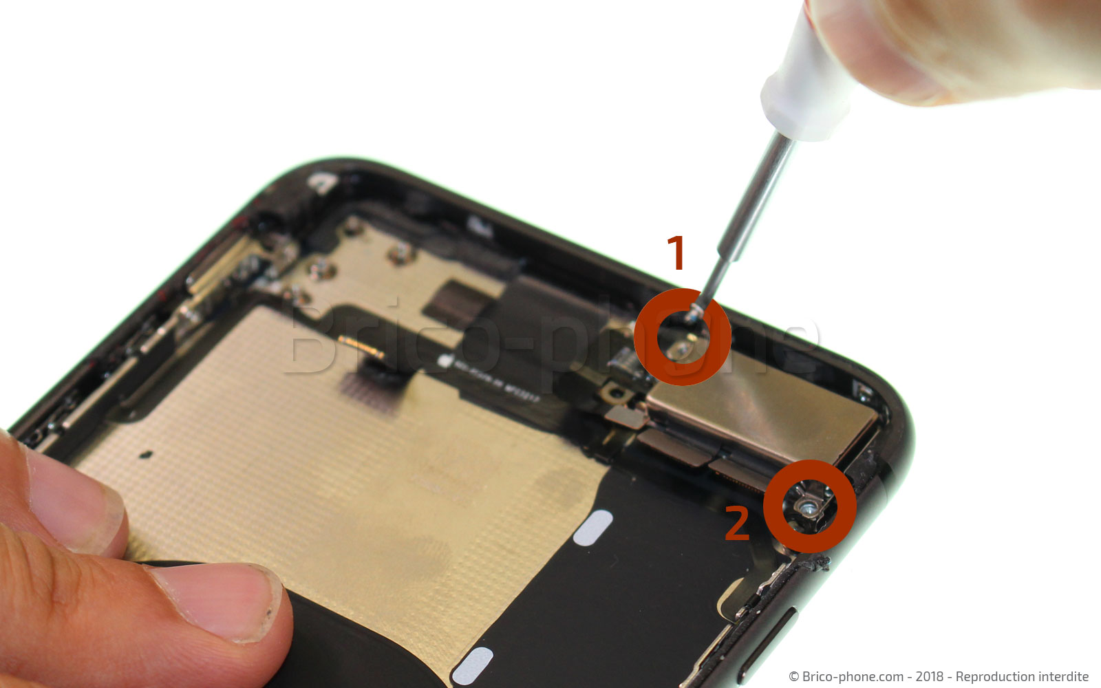 Changement de nappe power et volume sur iPhone 8 Plus photo 1