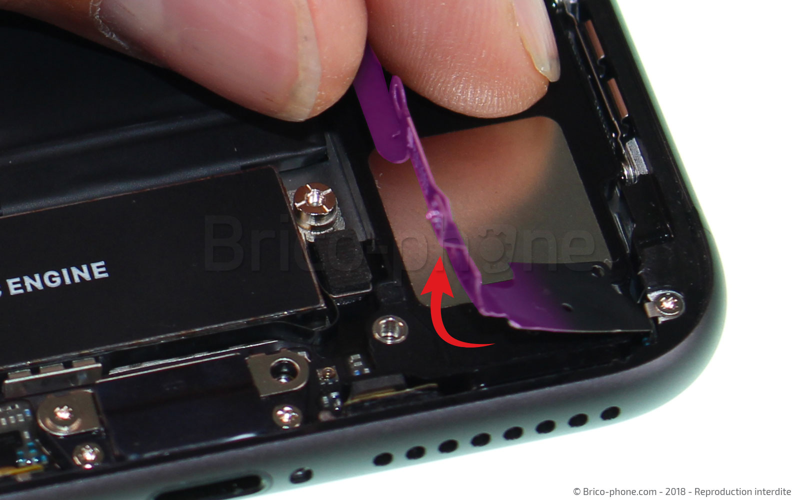 Changement du vibreur Taptic Engine sur iPhone 8 Plus photo 1