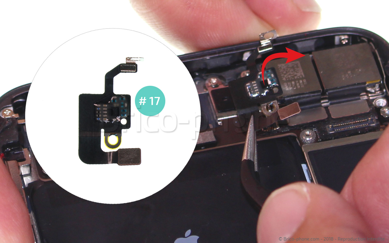 Changement d'antenne WiFi sur iPhone 8 Plus photo 4