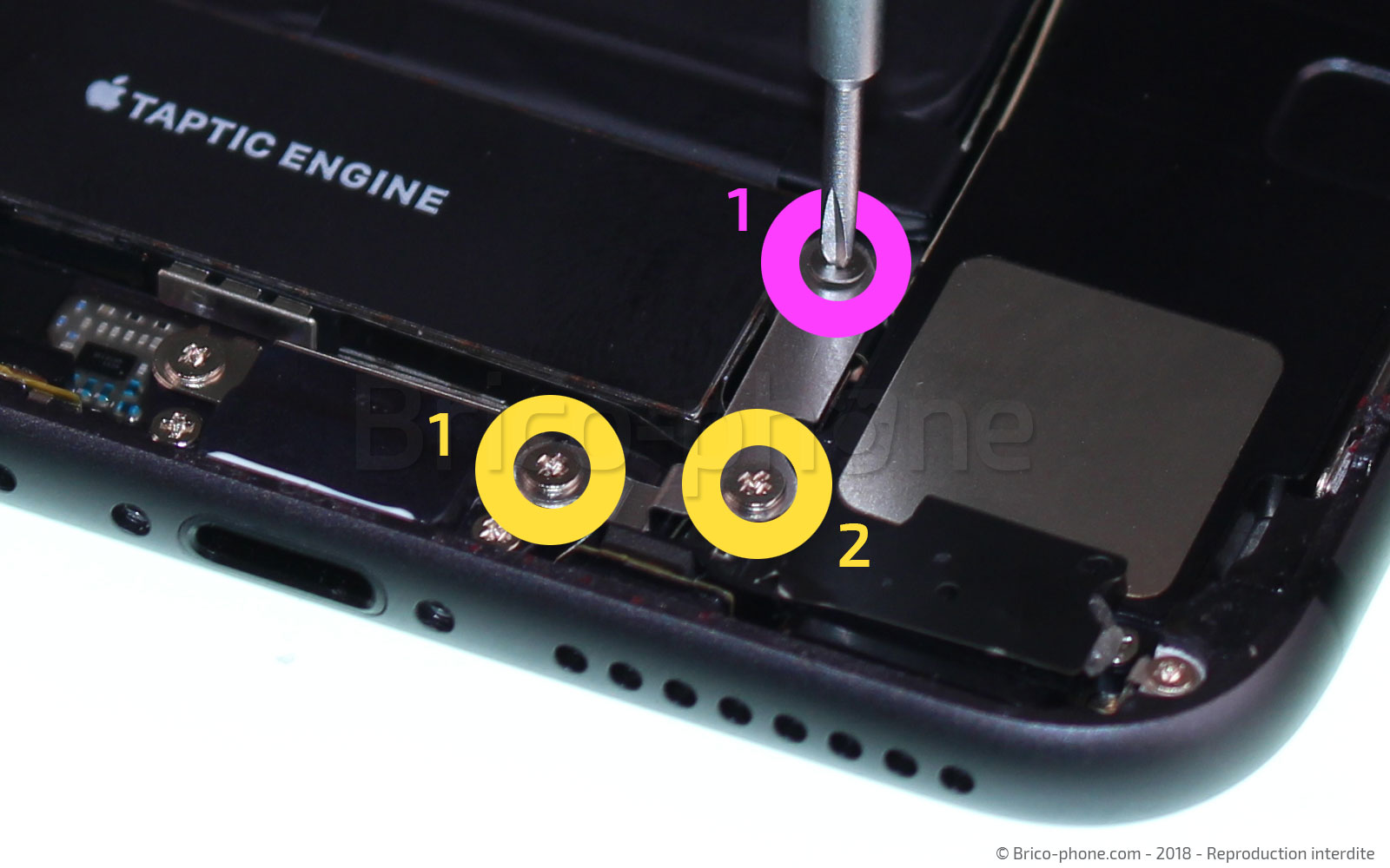 Changement d'antenne GSM sur iPhone 8 Plus photo 1