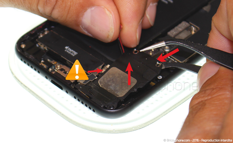 Changement du haut-parleur externe sur iPhone 7 photo 2