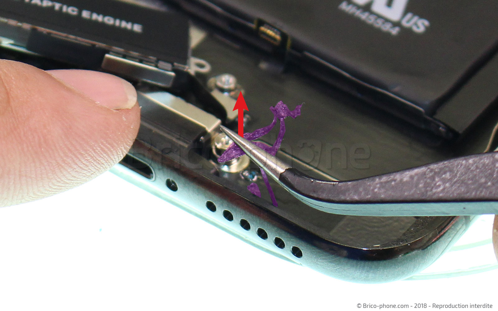 Changement du connecteur de charge sur iPhone X photo 3