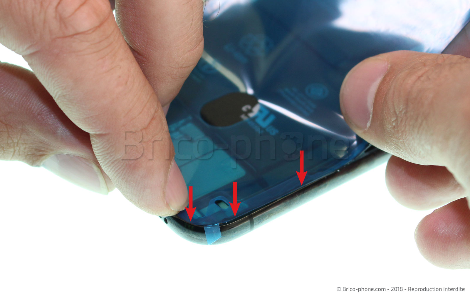 Changement de nappe du haut-parleur interne sur iPhone X photo 1