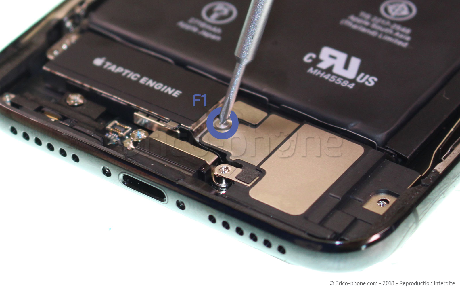 Changement du vibreur Taptic Engine sur iPhone X photo 1