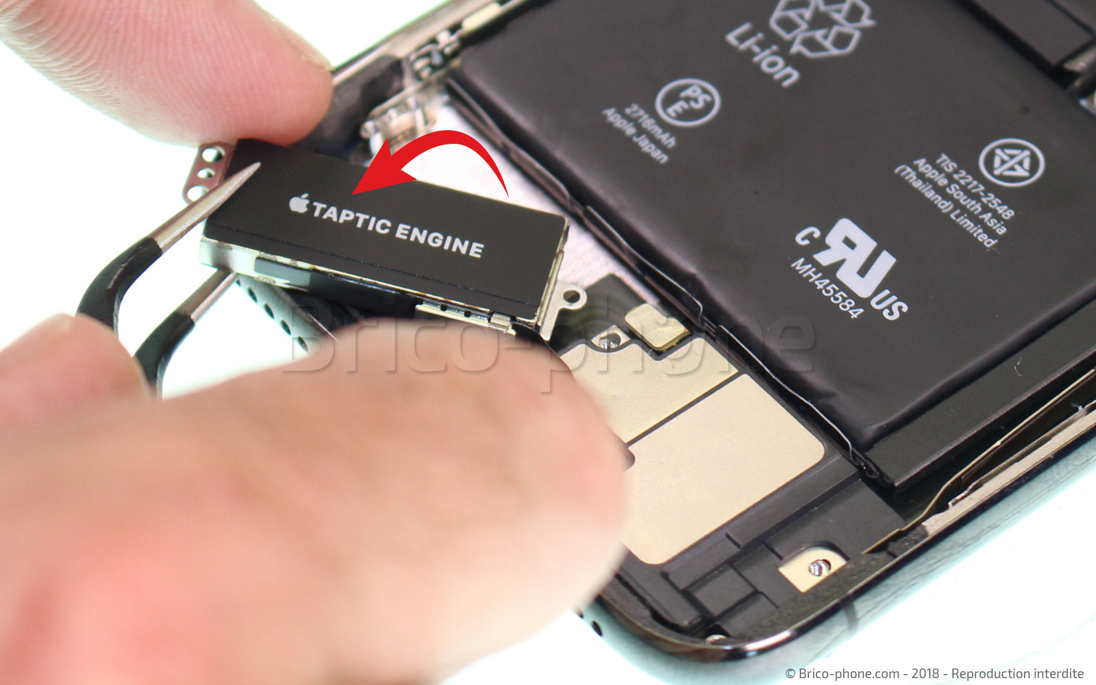 Changement du vibreur Taptic Engine sur iPhone X photo 2